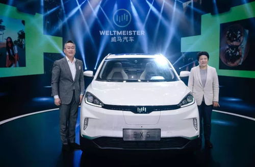 給威馬支個招 把設計LOGO的錢放到設計車型上