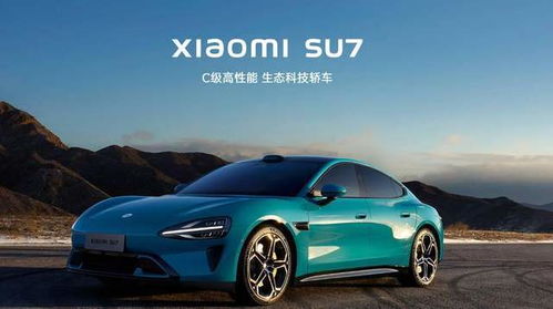 全體起立 小米汽車(chē)碾壓特斯拉,友商開(kāi)路,這就是國(guó)貨的惺惺相惜